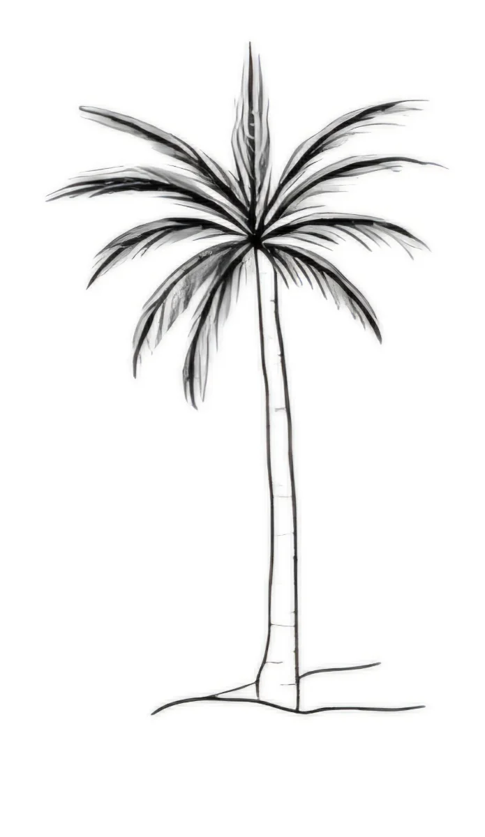 Palmera linea fina 2