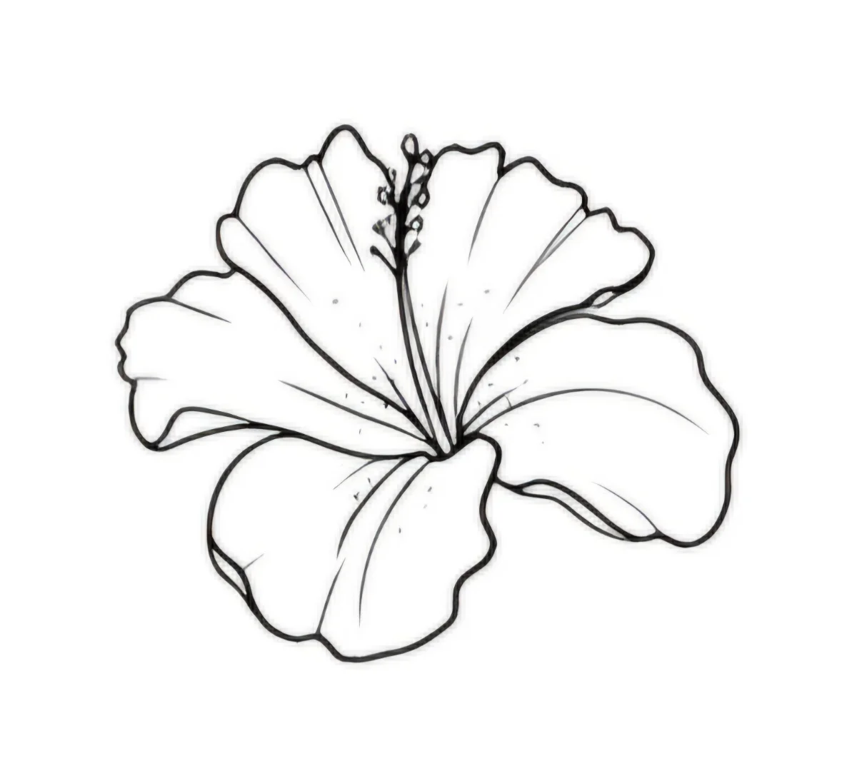 Flor linea fina