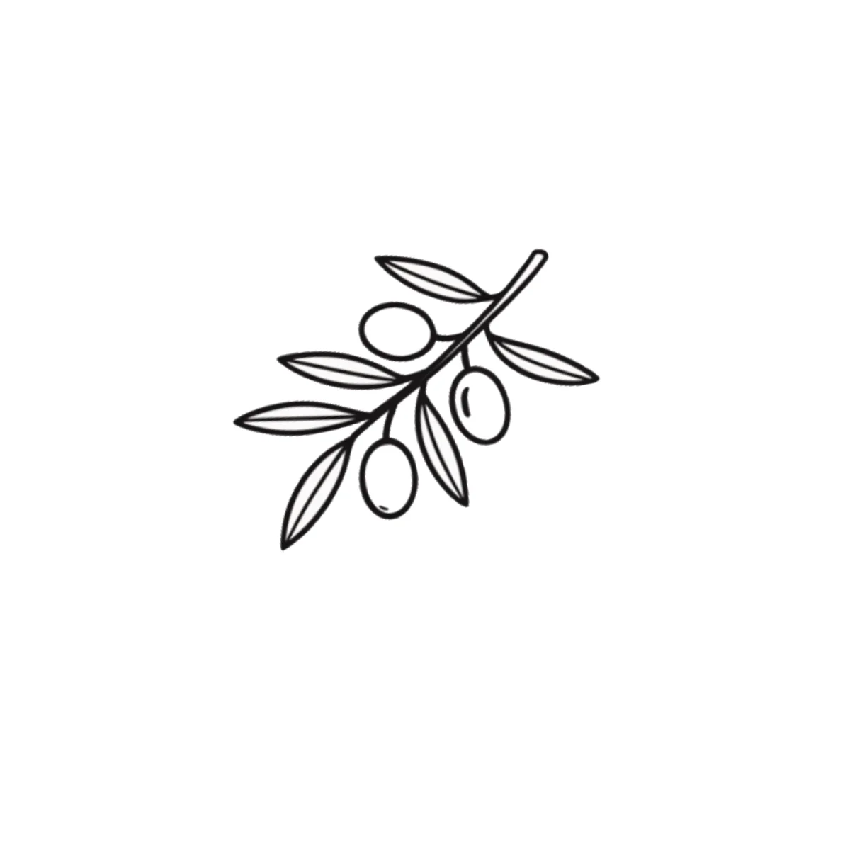 Rama de Olivo | Tatuaje Fineline Botánico