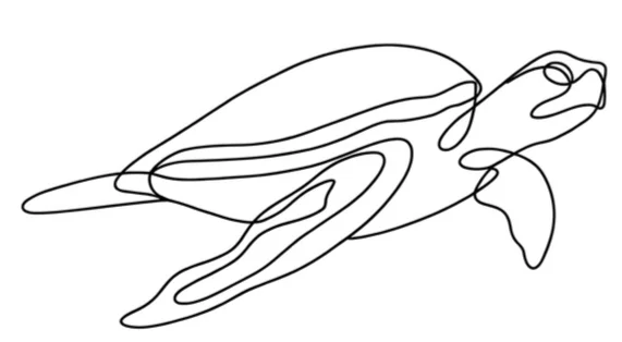 Tortuga de un Solo Trazo | Tatuaje Fineline Minimalista